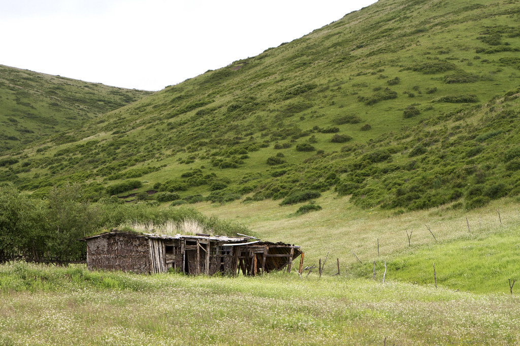 Yaks and yak herders’ houses are a common feature of the higher passes…