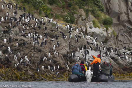 First stop, the Snares, where we&rsquo;ll cruise the shoreline to see the endemic Snares Crested Penguin...