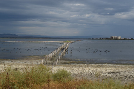 Pomorie Salt Pans is a vitally important waterbird migration route and home to many species. (PD)