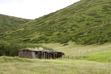 Yaks and yak herders&rsquo; houses are a common feature of the higher passes&hellip;