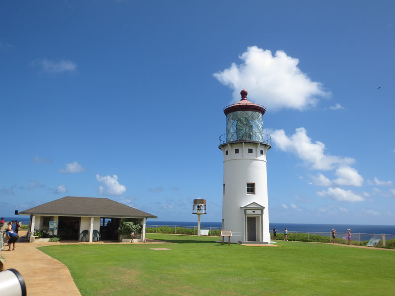 Our Kauai experience will begin at Kiluea NWR…