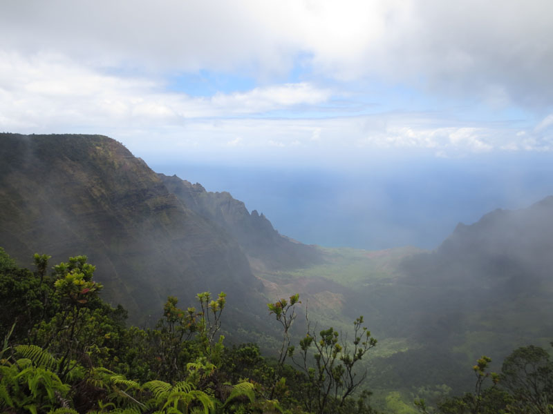 Kokee SP provides access to some highland native forest and some breathtaking views.