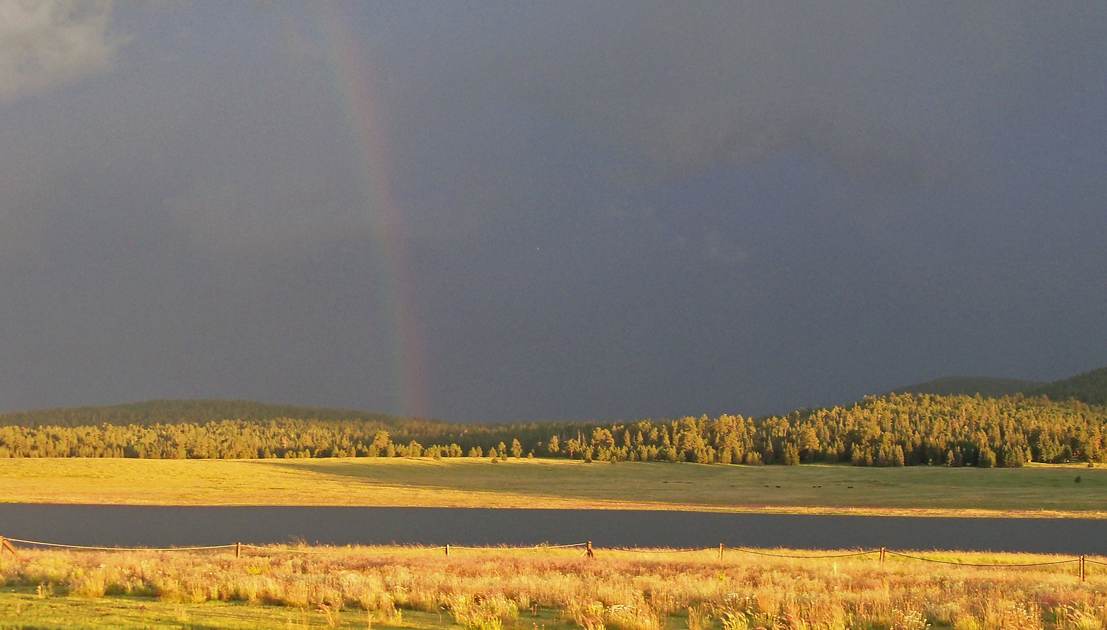 We’ll end our tour in Arizona’s White Mountains, where the grasses around lakes…