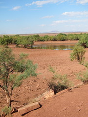Thumbnail: On our way to southern Utah, we may stop at several little bits of vegetation and water...