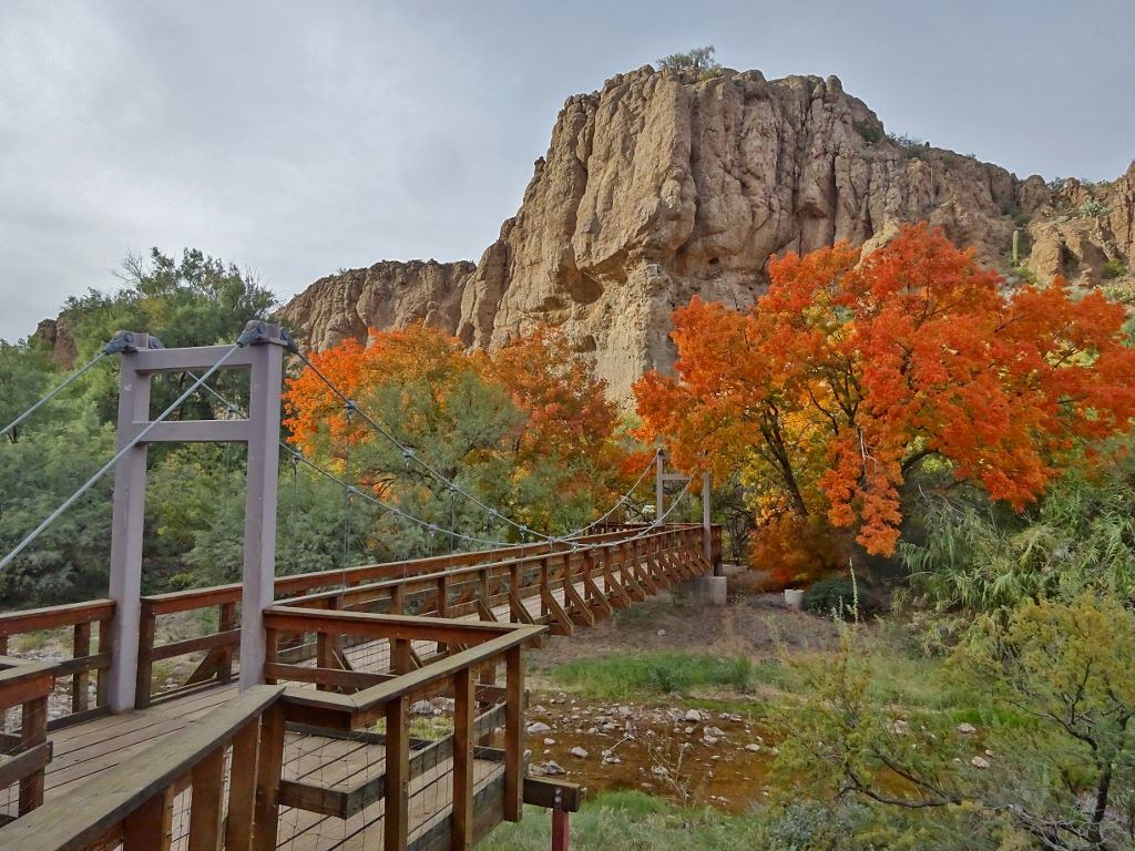 We'll begin at Boyce Thompson Arboretum in the low desert east of Phoenix... (bta)