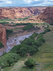 Thumbnail: Over 40 Navajo families still farm Canyon de Chelly’s valley bottom.