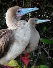 Thumbnail: 