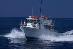 Thumbnail: Our tour also offers a pelagic trip out of the Kona harbour