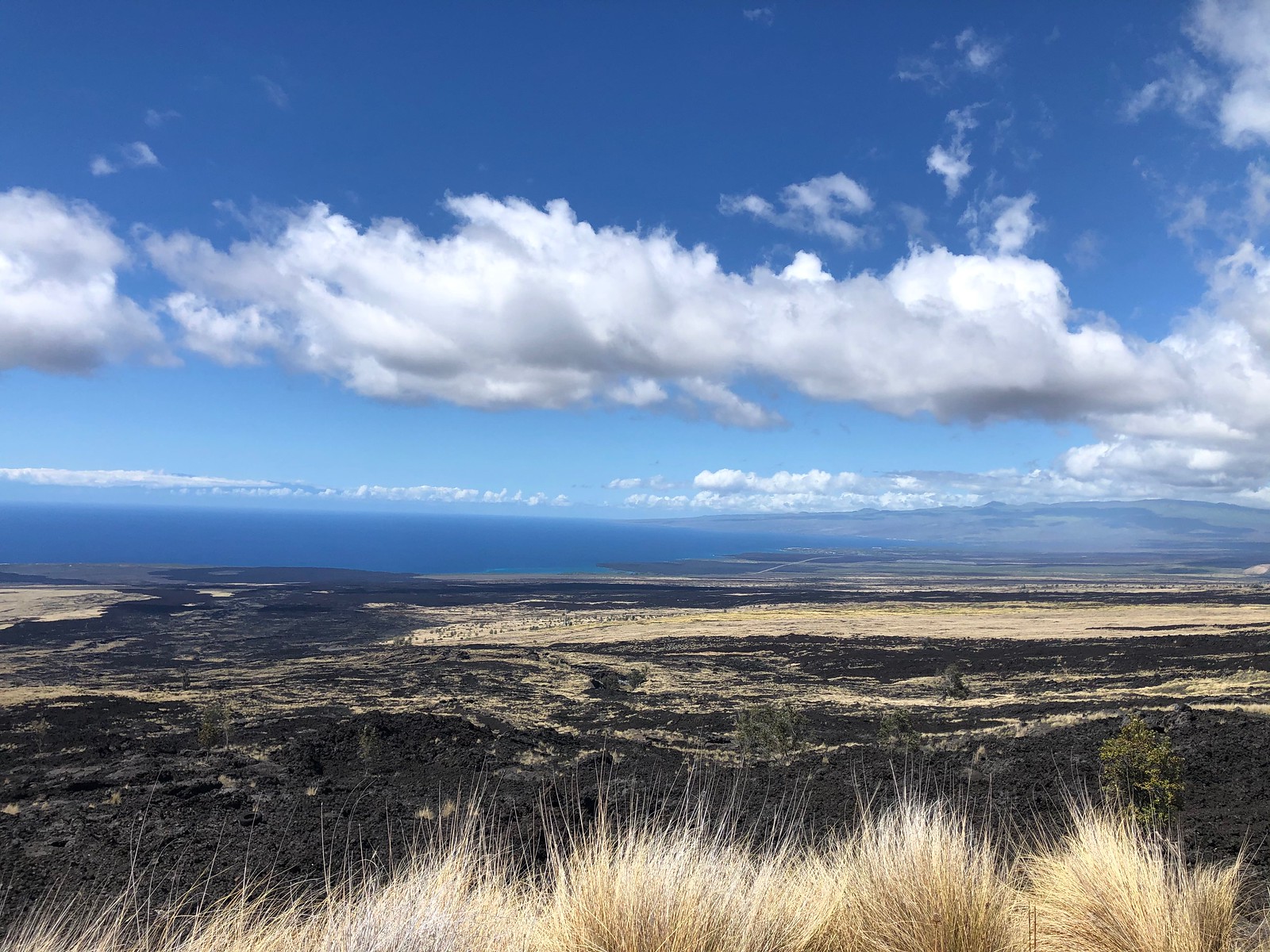 Our next island of the tour is the Big Island of Hawaii, the largest and geologically youngest of the islands.