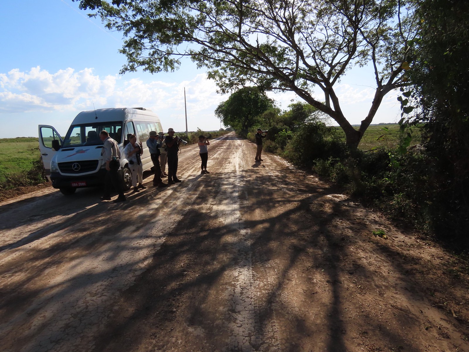 There’ll be a drastic change of scenery as we transfer via flight and bus ride to our lodge in the Pantanal – all the while remaining in the state of Mato Grosso.
