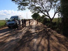 Thumbnail: There’ll be a drastic change of scenery as we transfer via flight and bus ride to our lodge in the Pantanal – all the while remaining in the state of Mato Grosso.