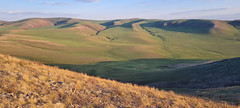 Thumbnail: After a long drive, we will eventually arrive in a remote area of isolated low hills, the only elevation for as far as the eye can see. 