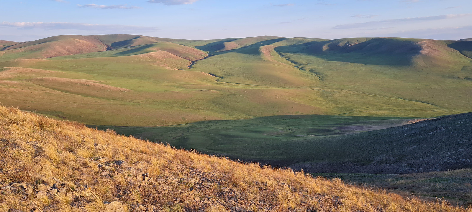 After a long drive, we will eventually arrive in a remote area of isolated low hills, the only elevation for as far as the eye can see. 