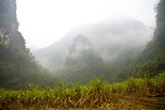 Thumbnail: Leaving Hainan we’ll cross to Guangxi Province...(PH)