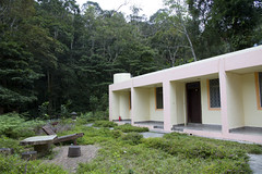 Thumbnail: Our guest house is right in the heart of quality habitat. (PH)