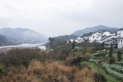 Thumbnail: From there we’ll head to central China’s Jiangxi Province where we’ll search rivers for Long-billed Plover... (PH)