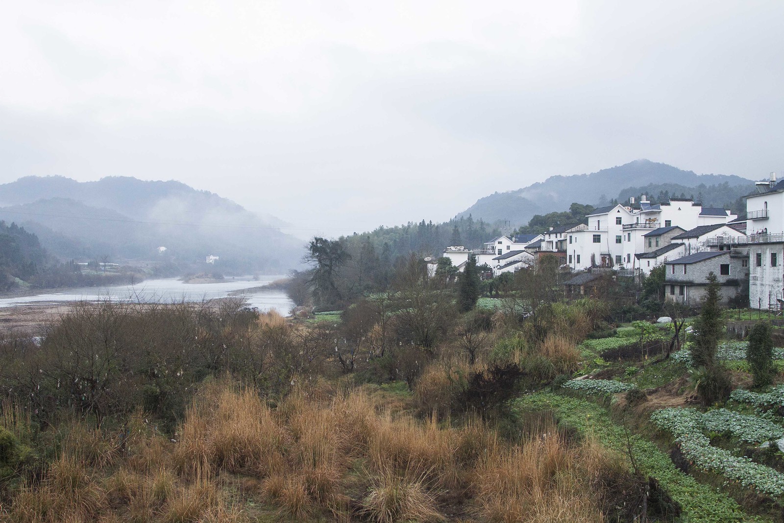 From there we’ll head to central China’s Jiangxi Province where we’ll search rivers for Long-billed Plover... (PH)