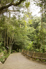 Thumbnail: ..that are easily accessed via a boardwalk trail. (PH)