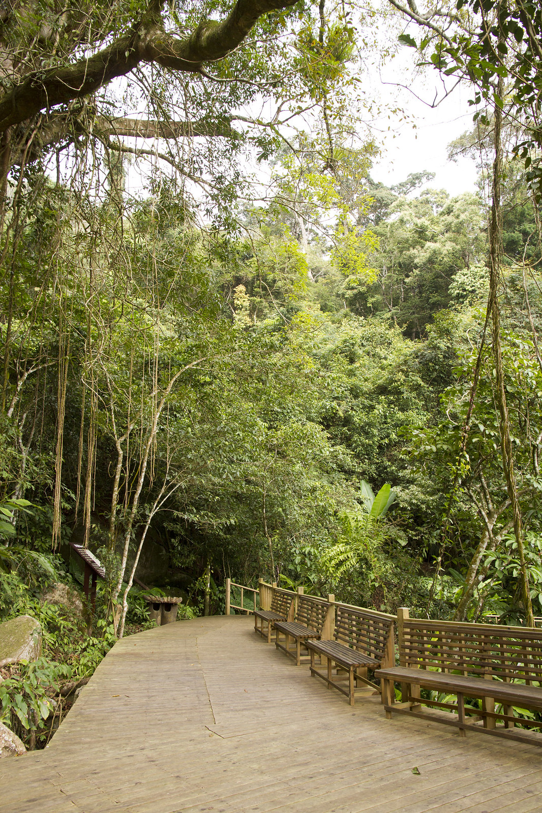 ..that are easily accessed via a boardwalk trail. (PH)