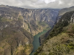 Thumbnail: Habitats range from stunted cloud forest at the impressive Sumidero Canyon
