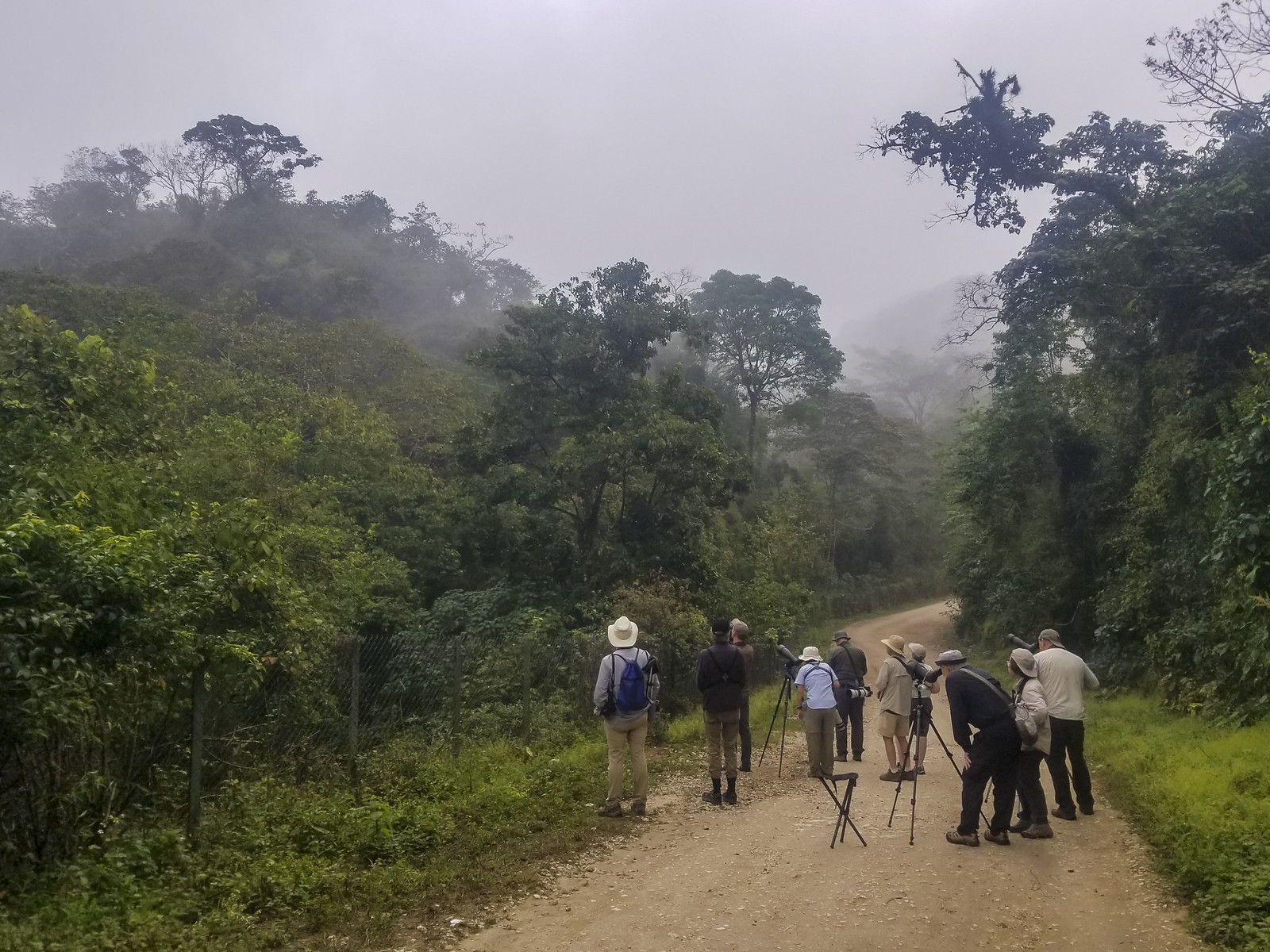 To montane rain forest,
