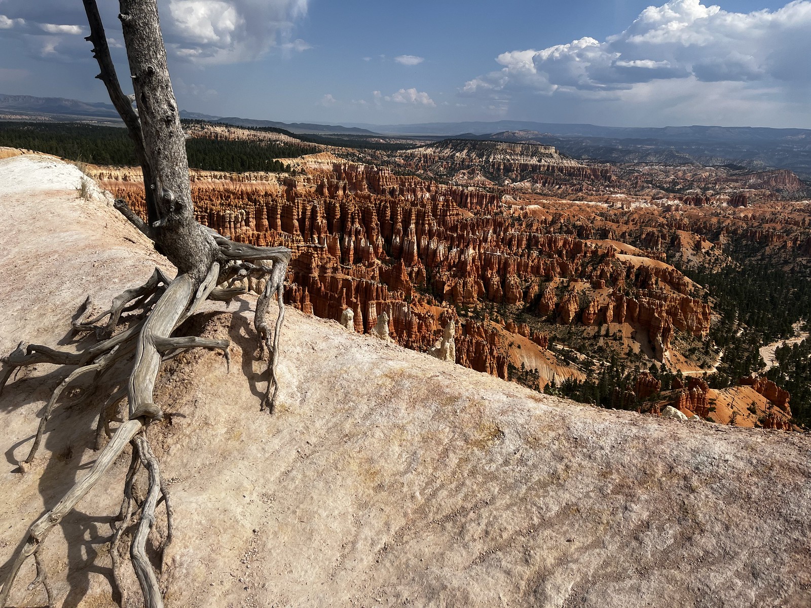 Stunning views of red rock country, including this view of Bryce Canyon National Park, provide a beautiful backdrop to birdwatching this region. 