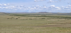 Thumbnail: The valley itself is an extensive area of wet meadows, pools and riparian woodland, best known for its cranes.  