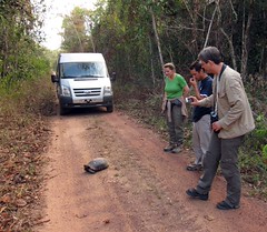 Thumbnail: …continuing by road, with stops for anything interesting…