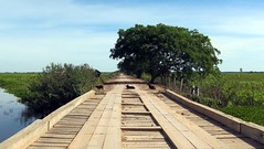 Thumbnail: We drive the length of the Transpantaneira Highway, a dirt road with about 120 bridges, this one with a family of Capabaras collecting the toll.