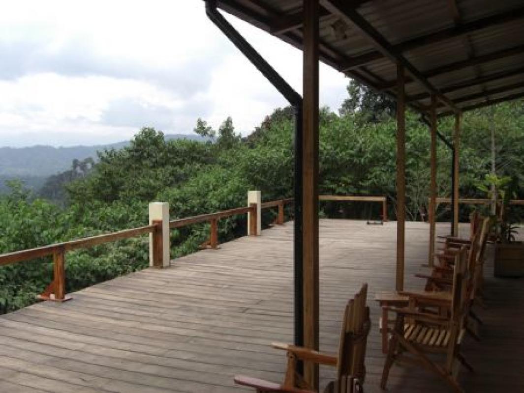 ...whose back porch overlooks forest and some of Ecuador’s best hummingbird feeders...