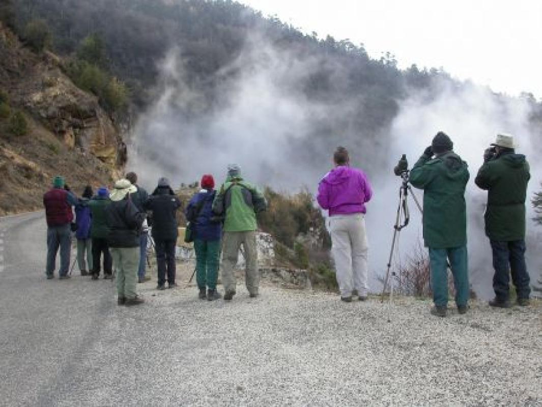 We'll bird mostly from little traveled roads or trails...