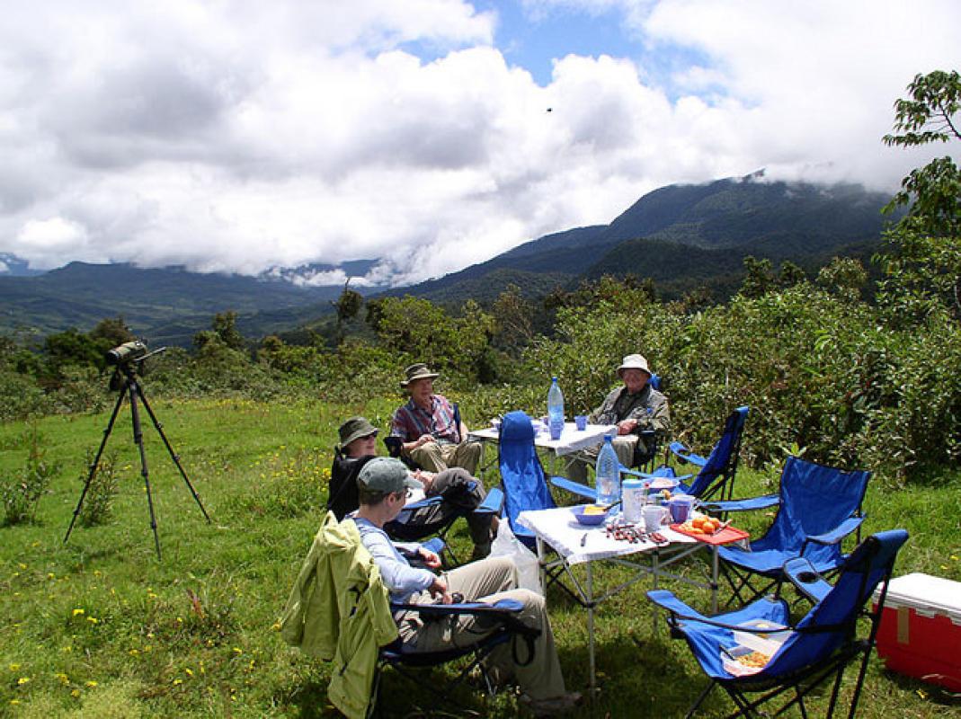 We bird the morning through to our picnic lunches on most days.       