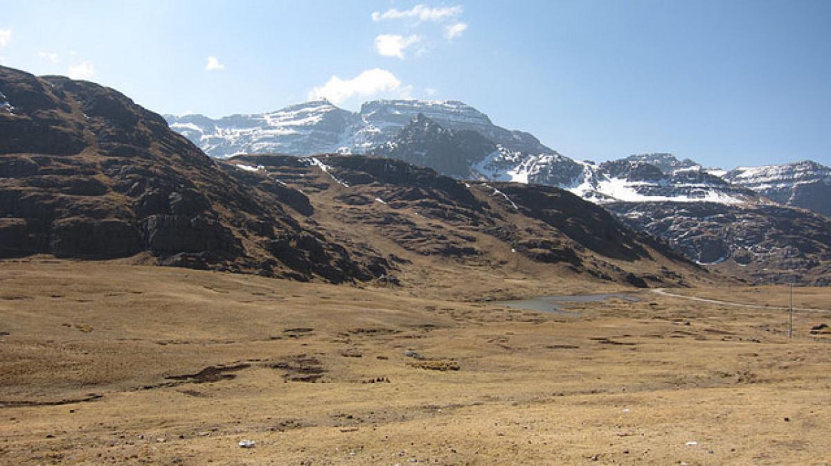 From here we ascend to true Andean heights above treeline where many special birds occur.        