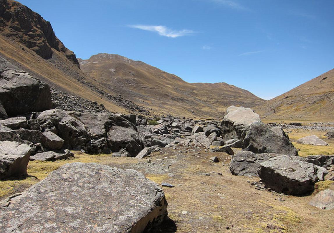 We’ll take a stroll amongst the beautiful boulder-strewn slopes in search for the elusive Short-tailed Finch. 