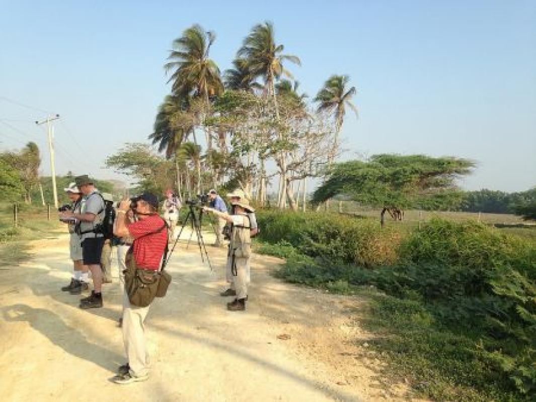 We'll explore diverse habitats, from Caribbean coastal wetlands...