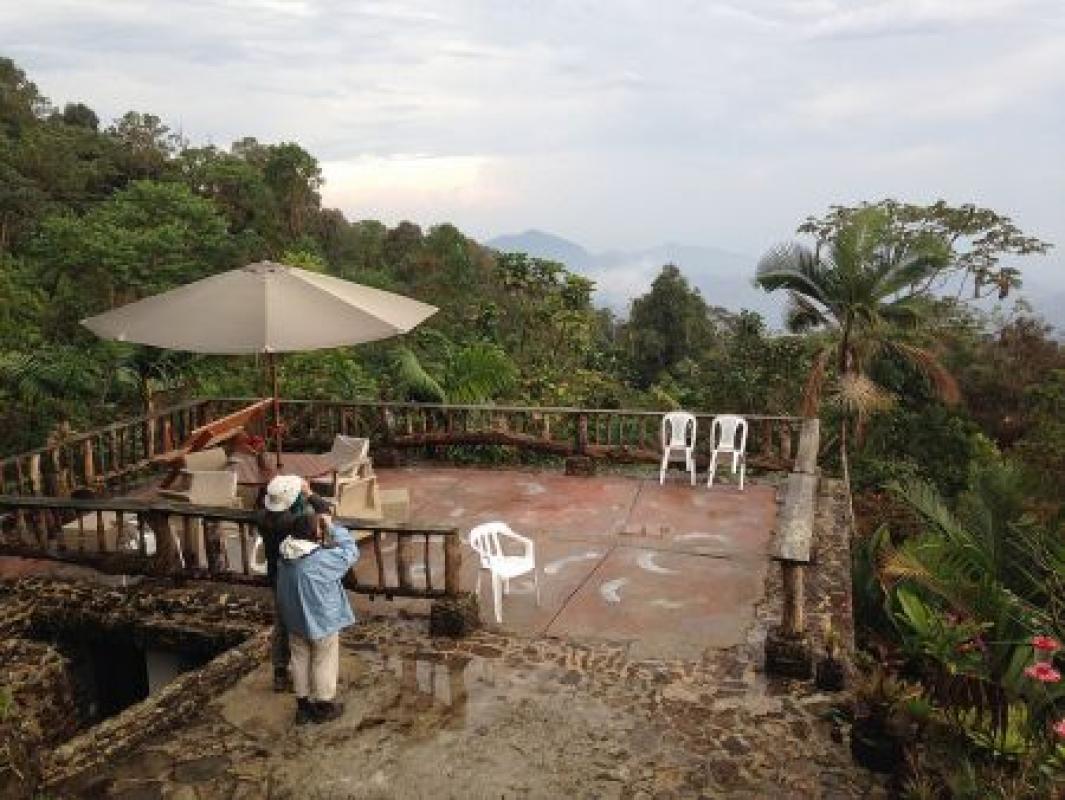 ...to the cloud forests of the Santa Marta mountains.