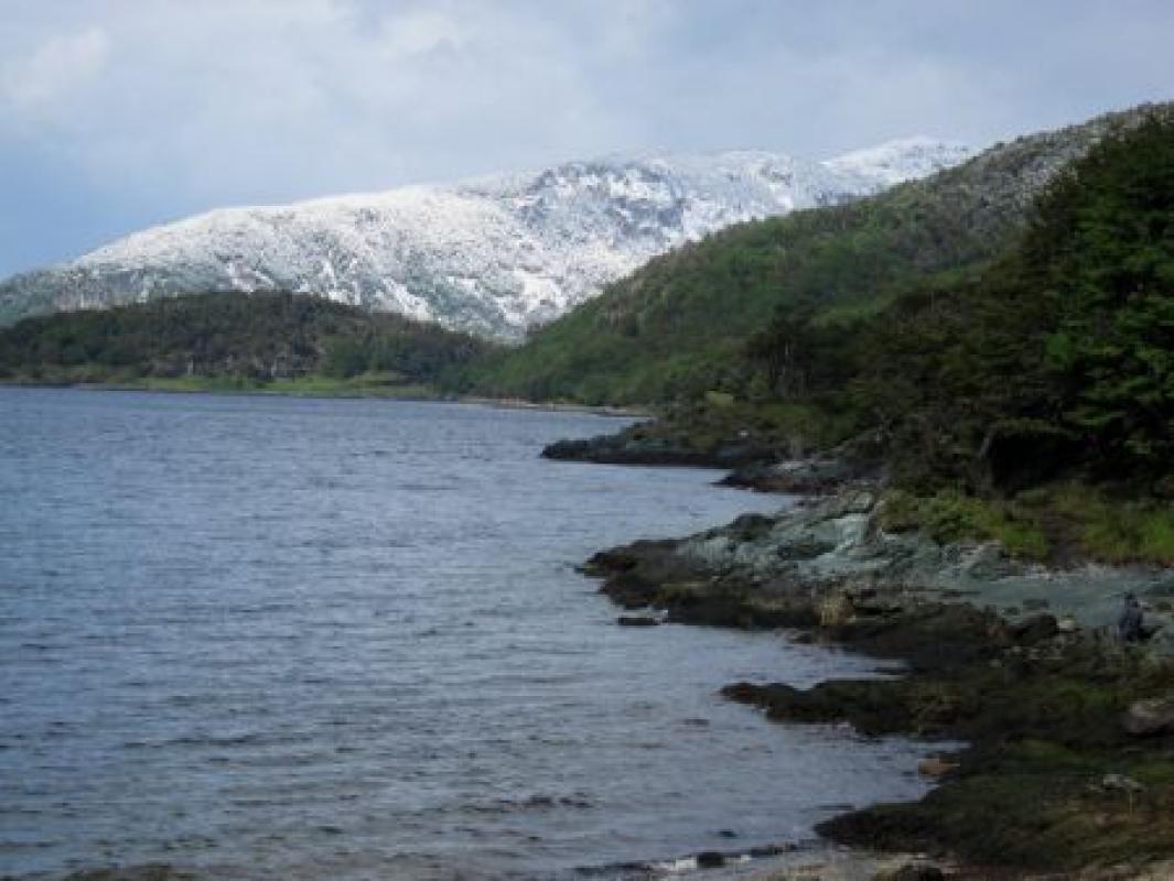 As we travel further south the forests get larger and wetter, even producing snow at times...
