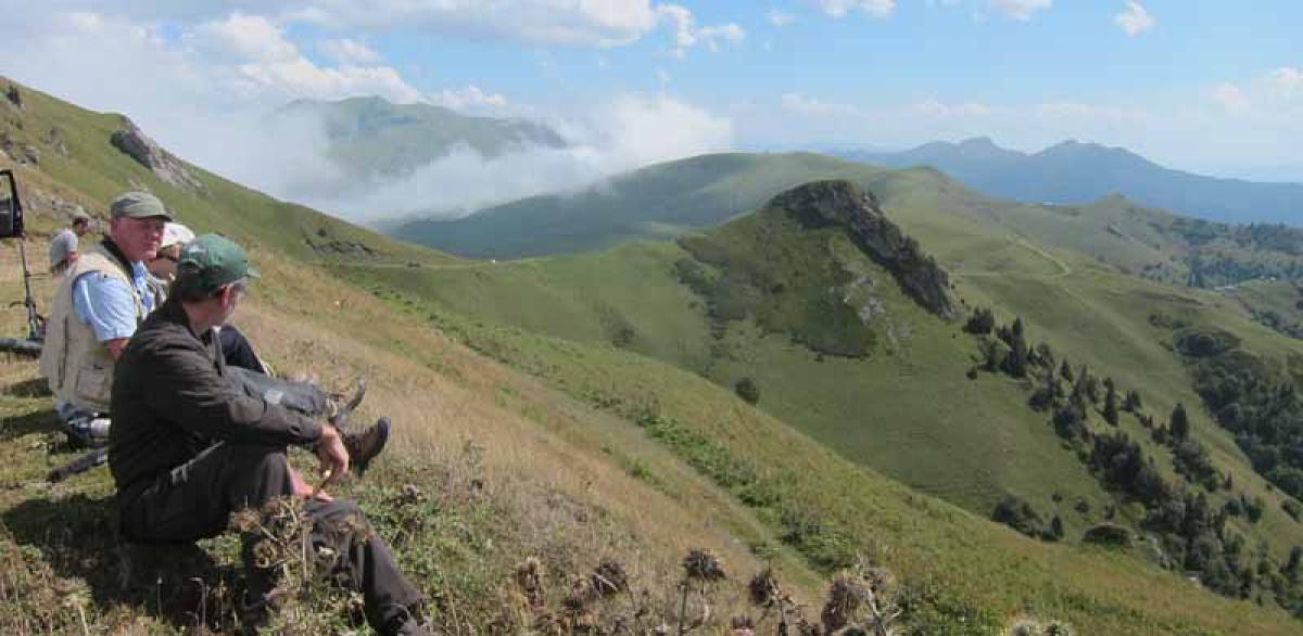 Despite the great birding, we'll have to tear ourselves away and start the long journey to Batumi. We break the journey in the highly scenic Zekari pass...