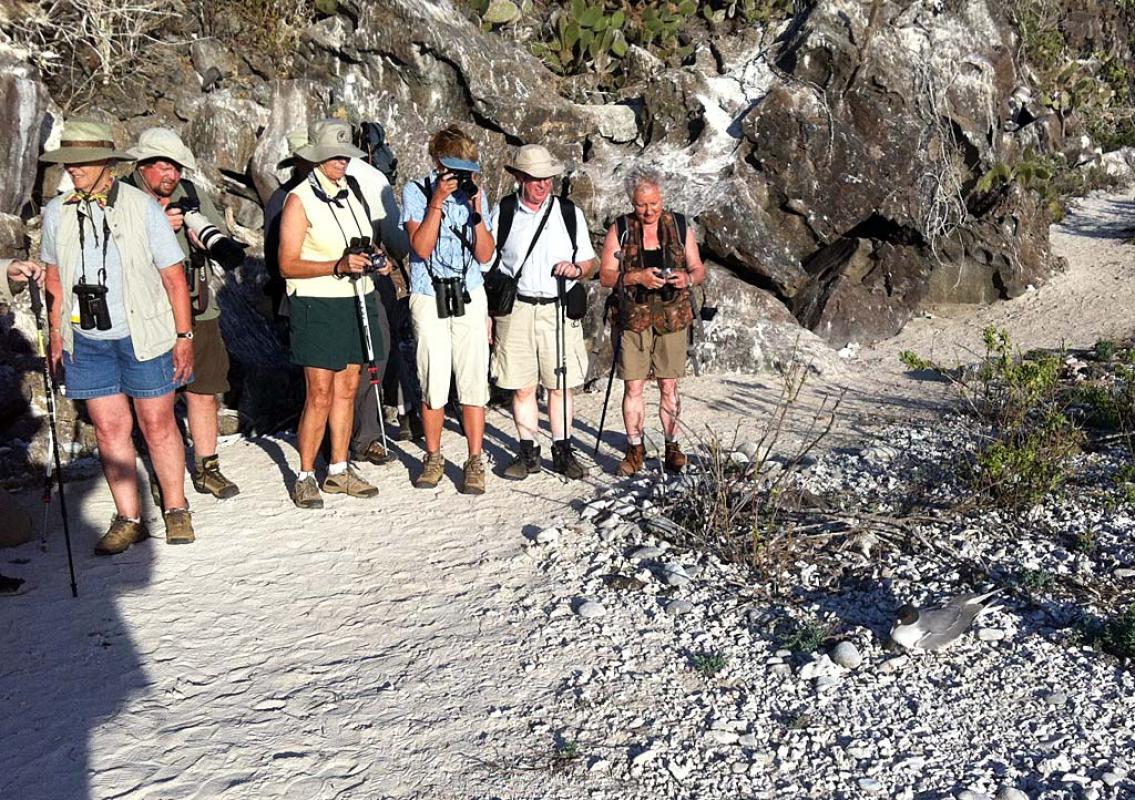 Each day's plan includes a land-based activity. Where and when we walk is strictly controlled, but the birds don’t have qualms about nesting next to the trails.
