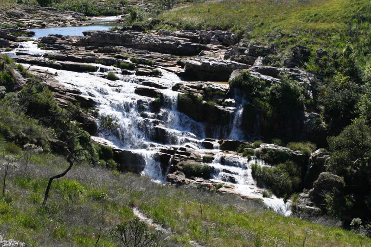 ...and shelters the Sao Francisco river spring...