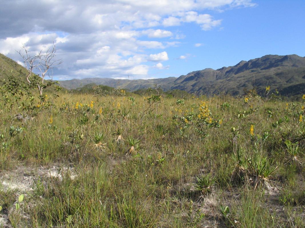 ...and the isolated Cipo Mountain.