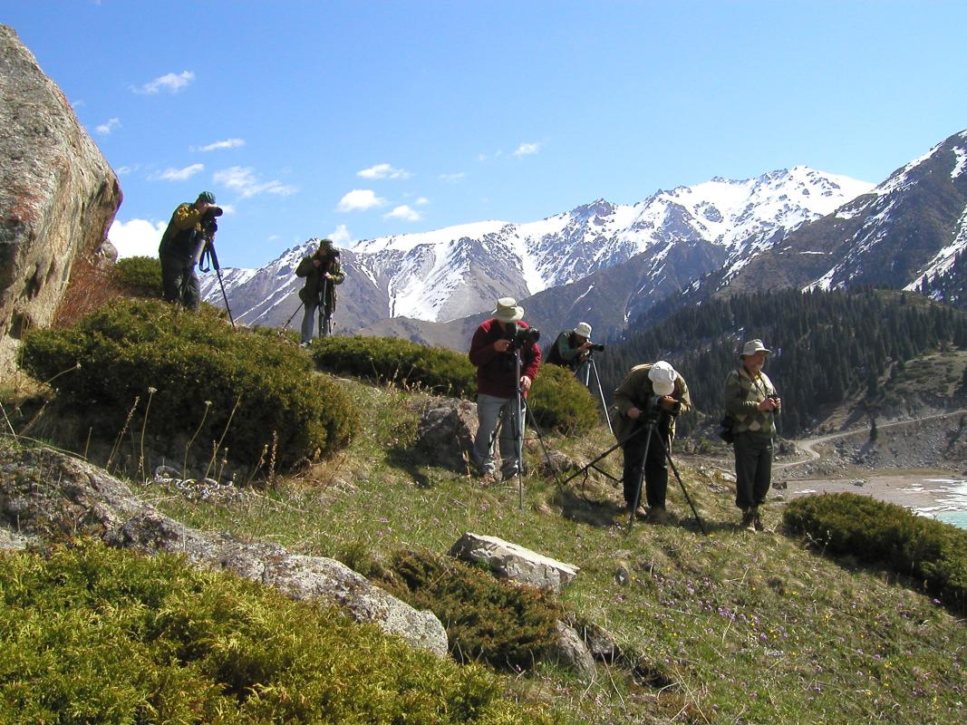 group birding in the tien shan.jpg