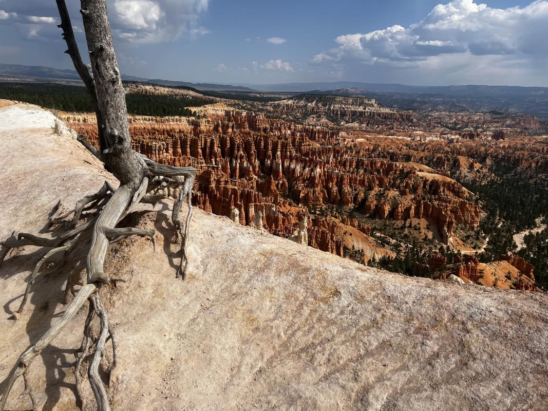 Bryce Canyon was breathtaking.