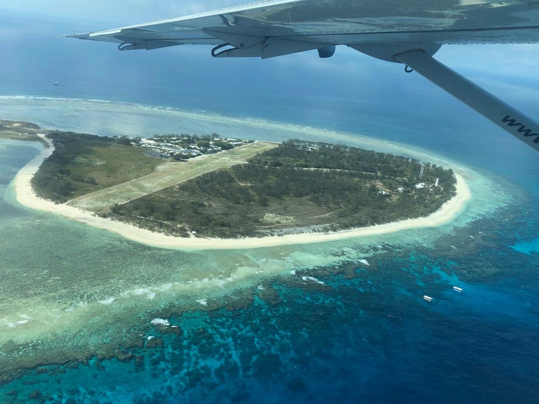 Lady Elliot Island