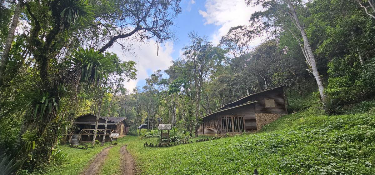 This is an easy trip, using comfortable lodges, often in the middle of the forest! (here Paraiso Lodge)