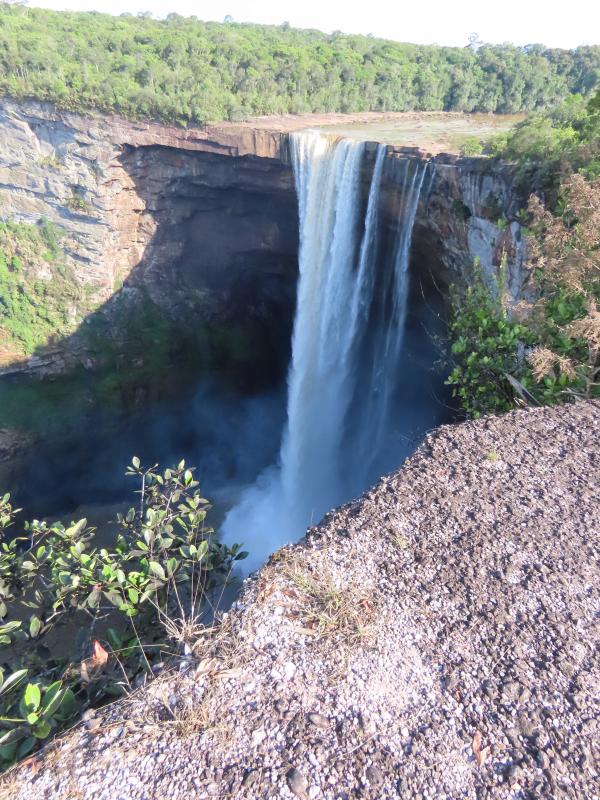 Kaieteur Falls was a stunning sight from the air and the ground, and it was the only place we saw Guianan Cock-of-the-rock.