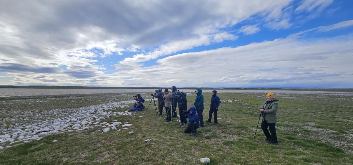 The group watching a Magellanic Plover on the shore of a Patagonian lake