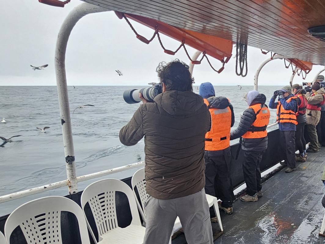 Pelagic trip off Valparaiso