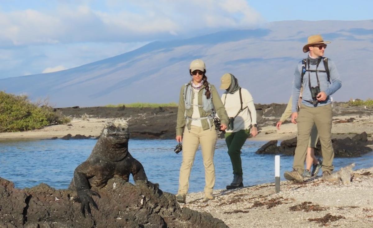 Many of the island excursions had us gingerly walking around many fascinating Marine Iguanas, with different subspecies found on each island.