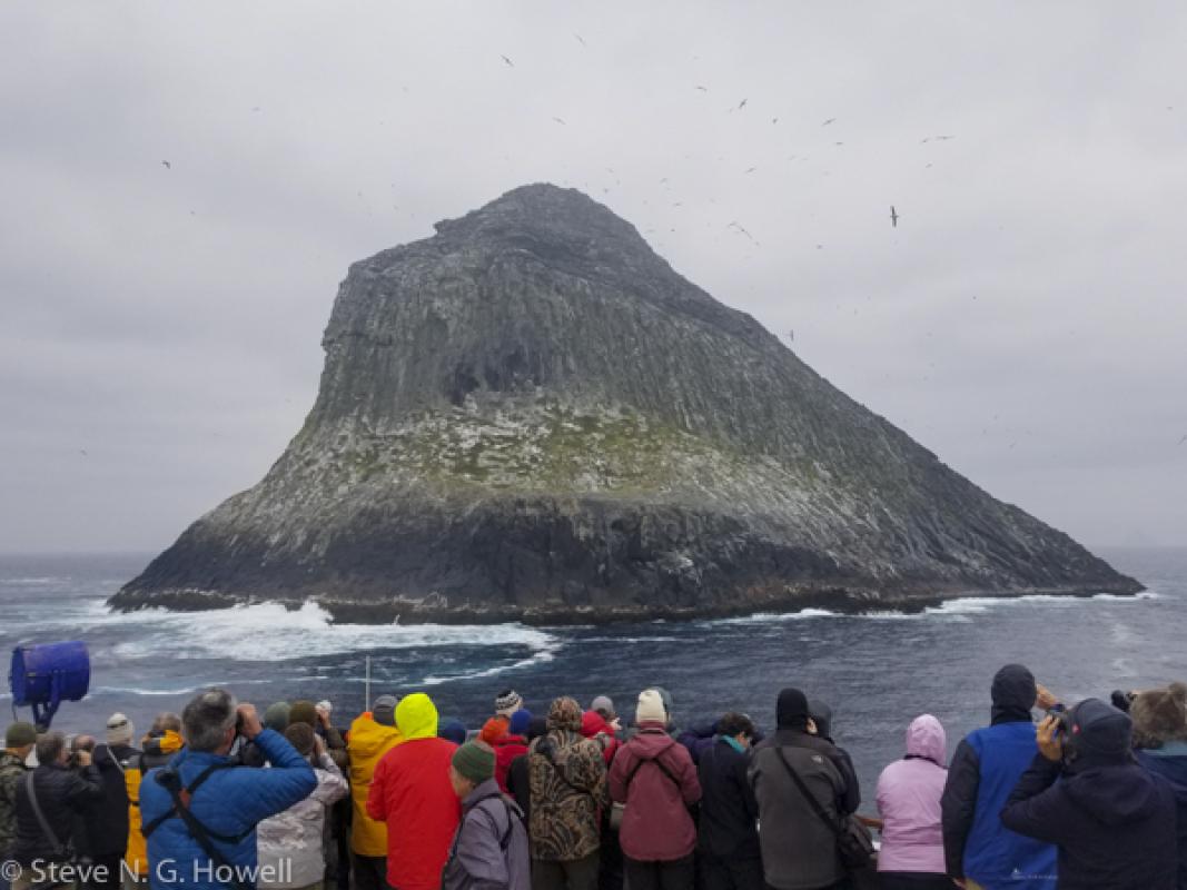 From the iconic Pyramid Rock, home to the world population of Chatham Albatross...